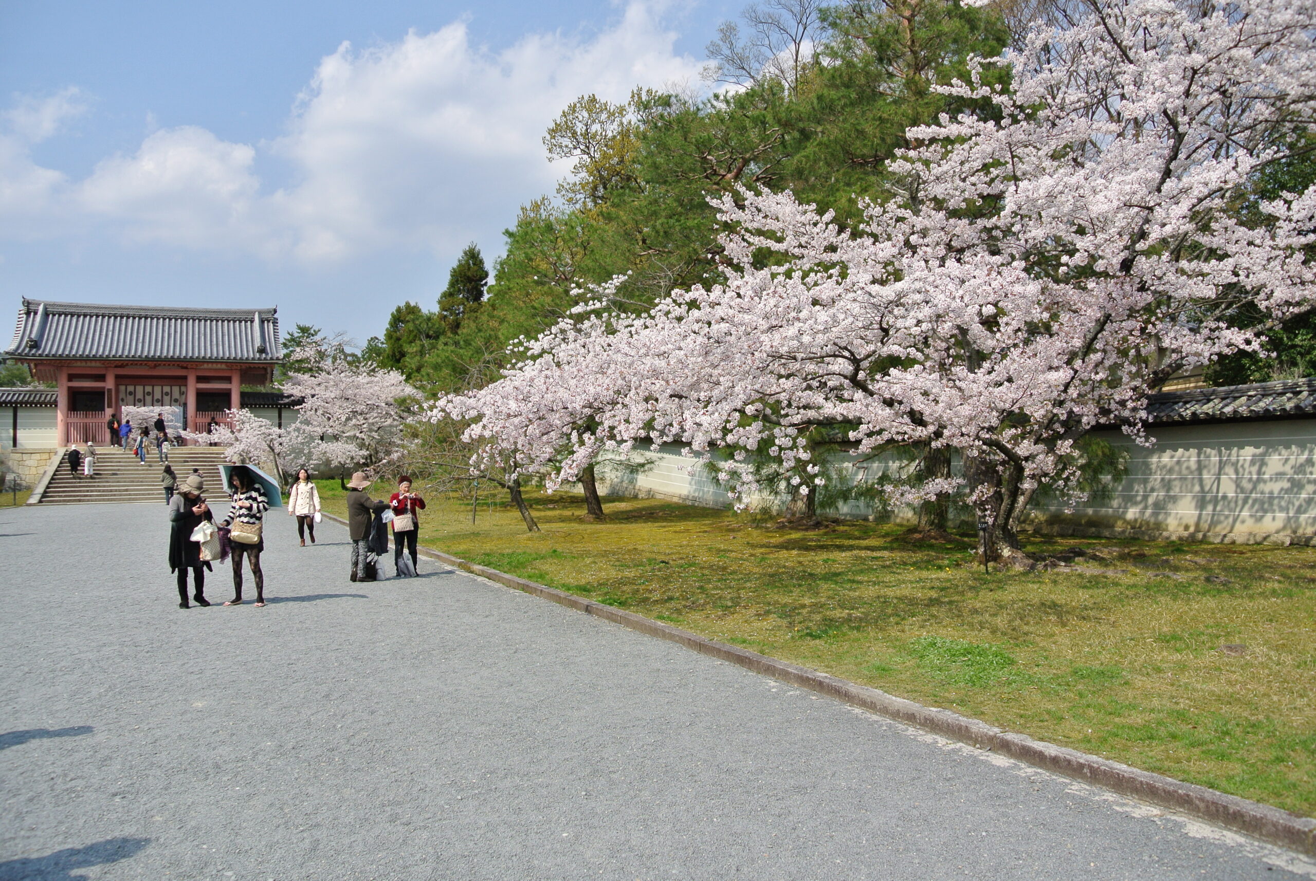 13768617024 6491dec183 o