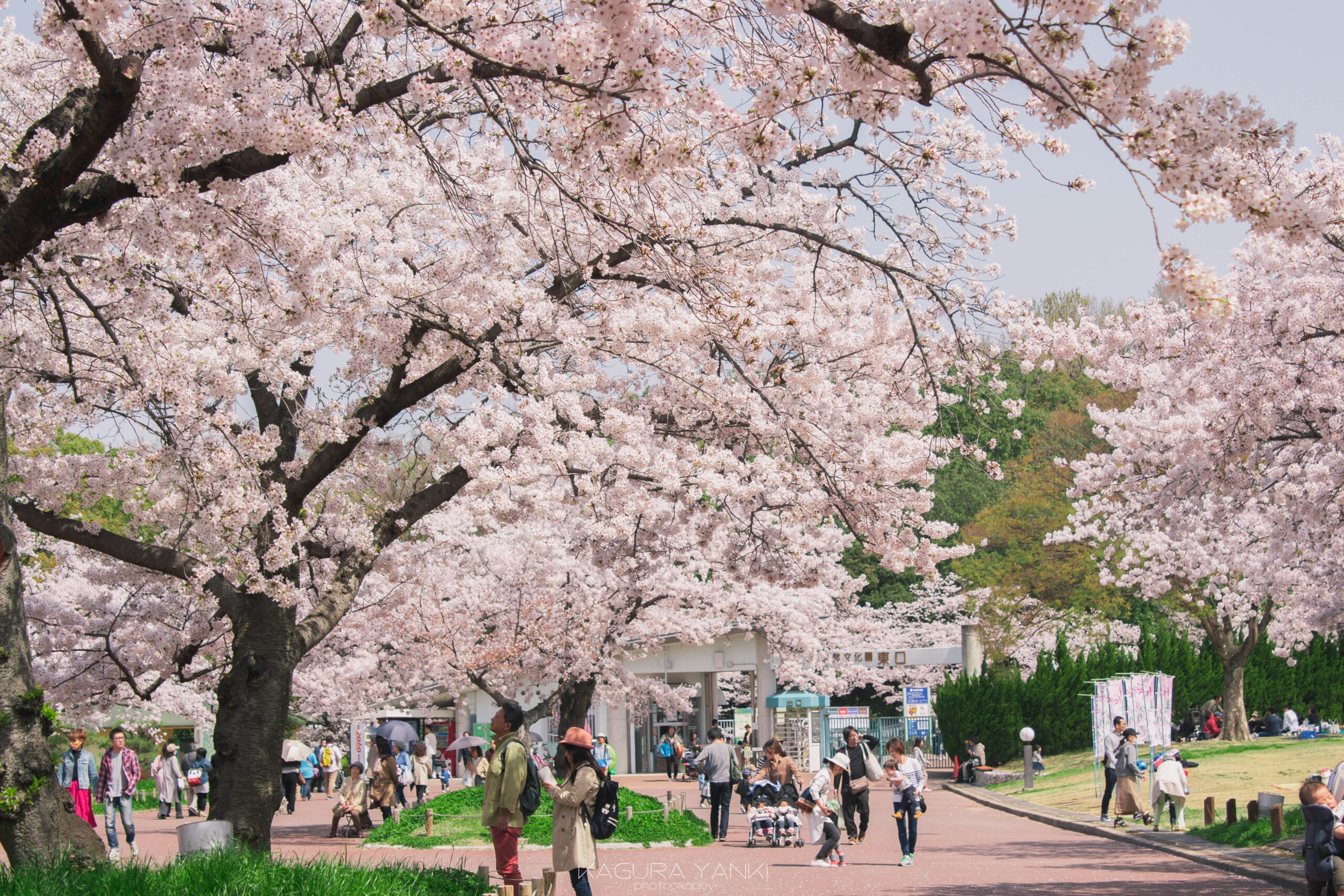 41660500780 D464b20fc5 O Scaled