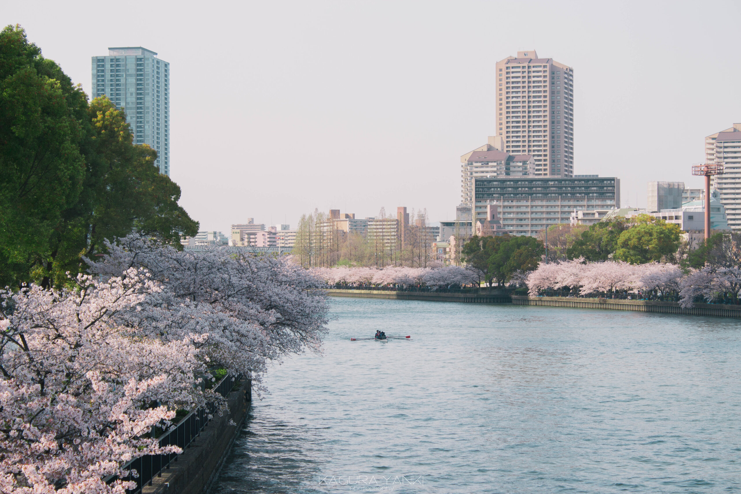 毛馬桜ノ宮公園