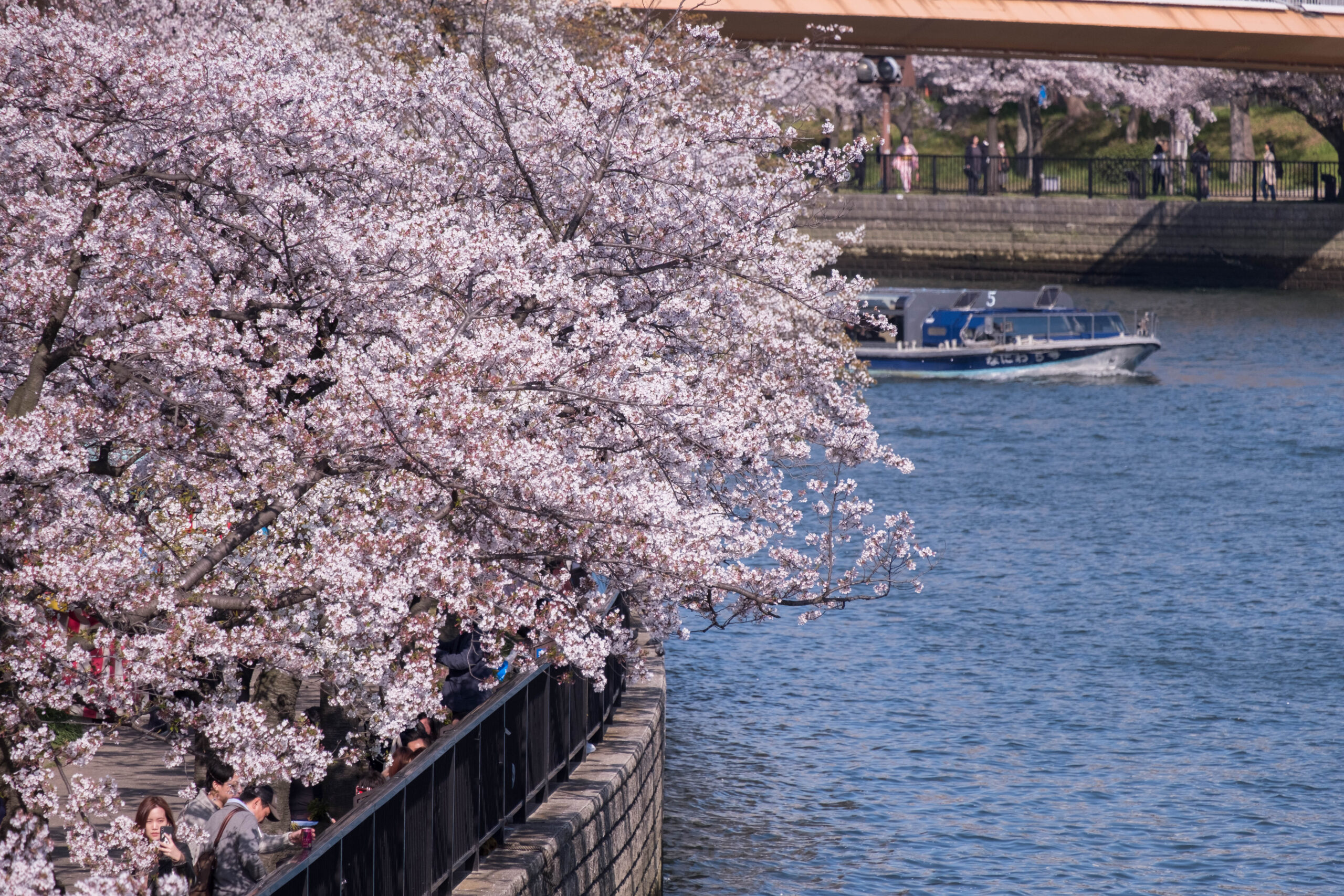 49084666448 07e0c504d0 o