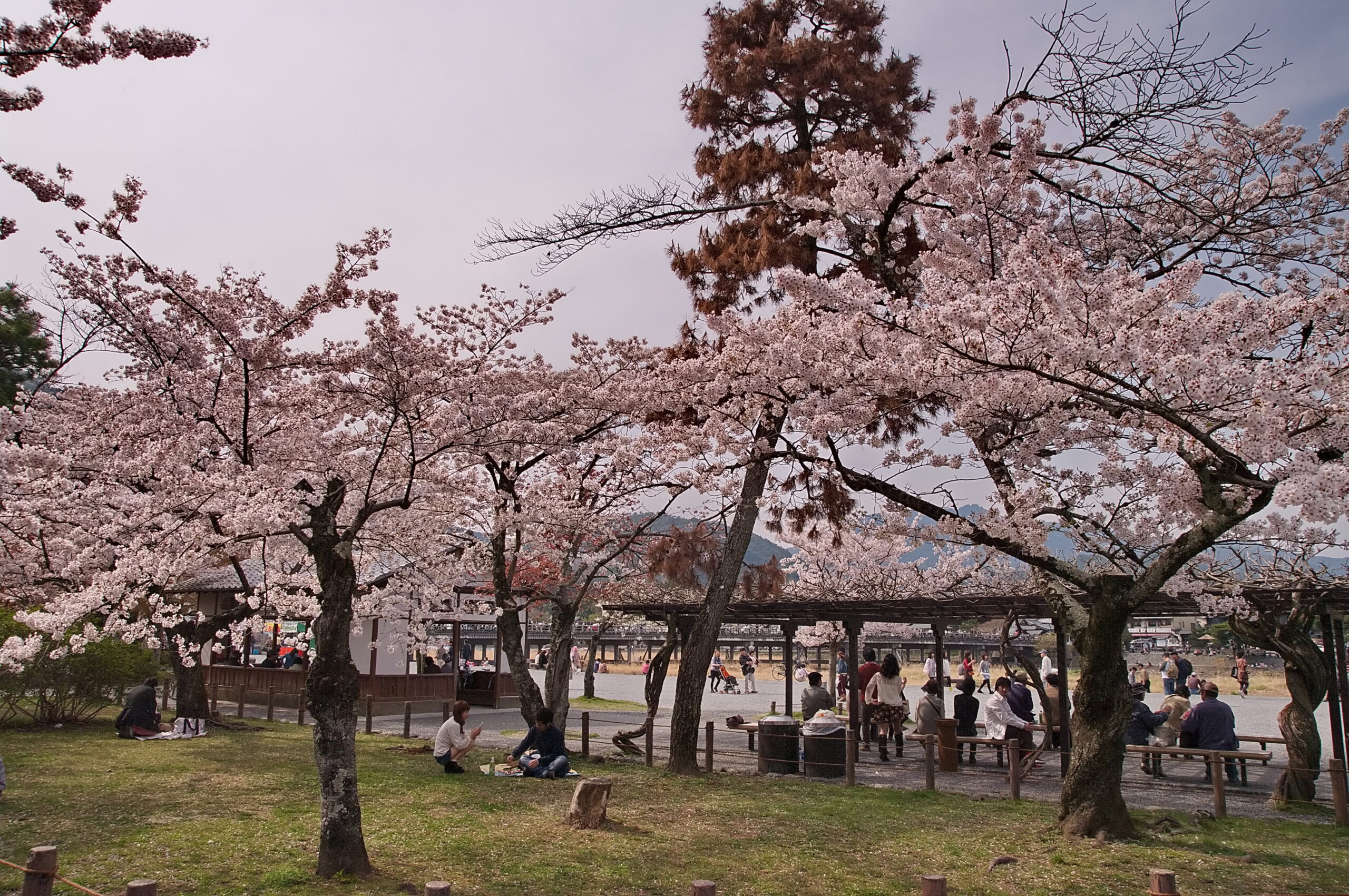 9190177648 9e1843894c O Scaled